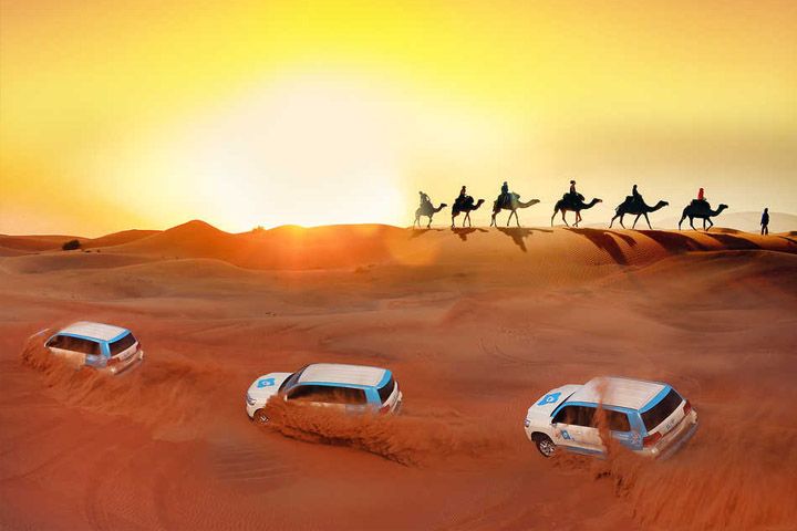 Best Evening Desert Safari 2024