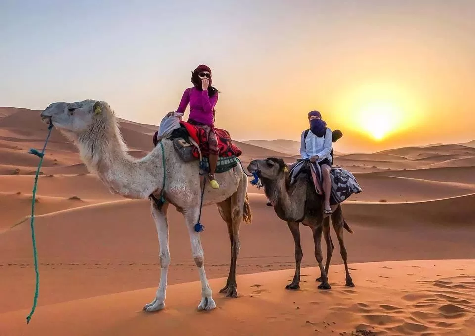 Desert Safari Dubai Deals & Packages