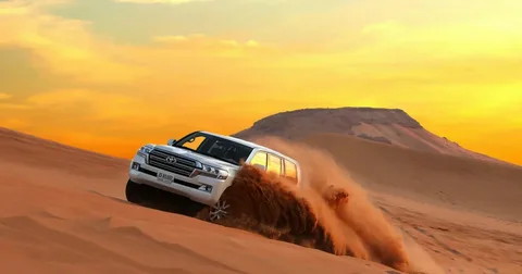 VIP Desert Safari in Abu Dhabi