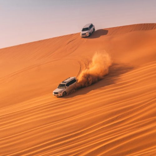 VIP Desert Safari Dubai Price